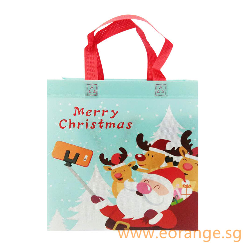 A4 A3 Size Non-Woven Bag with Lamination